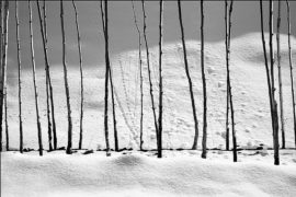 Photograph from the 'Snow Series' (Abbas Kiarostami, 2002)