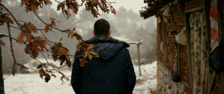 The Wild Pear Tree (Nuri Bilge Ceylan, 2018)
